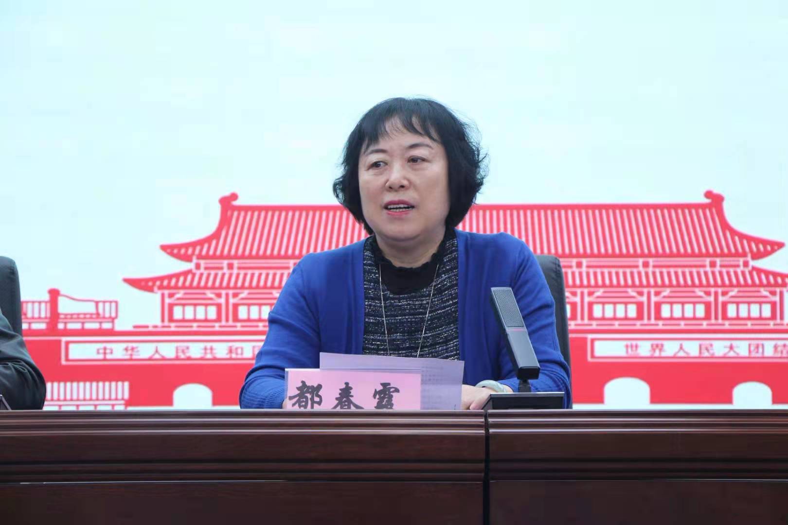 都春霞书记总结讲话.jpg