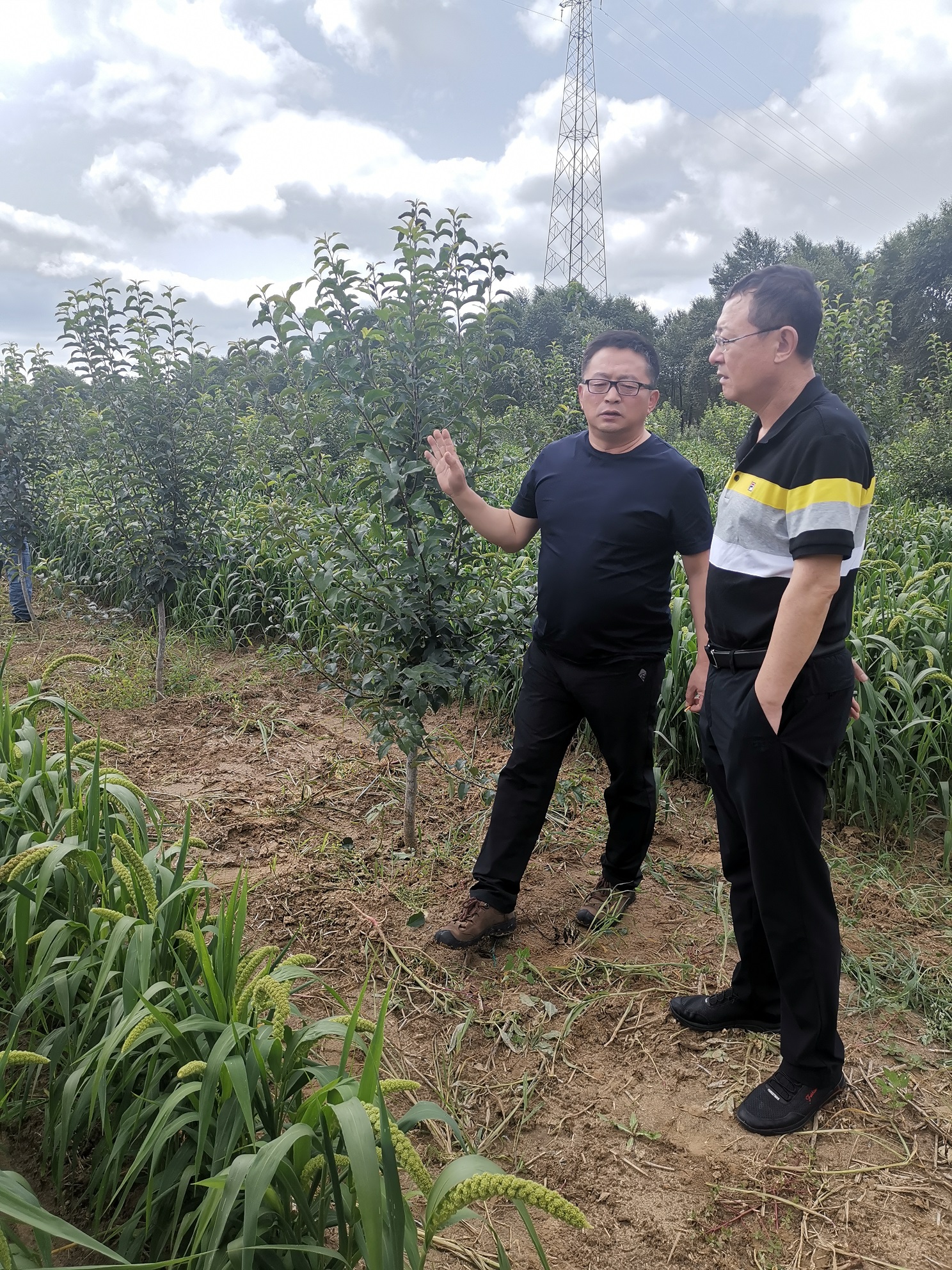 3.李志刚经理与农科院王岩副经理交流.jpg