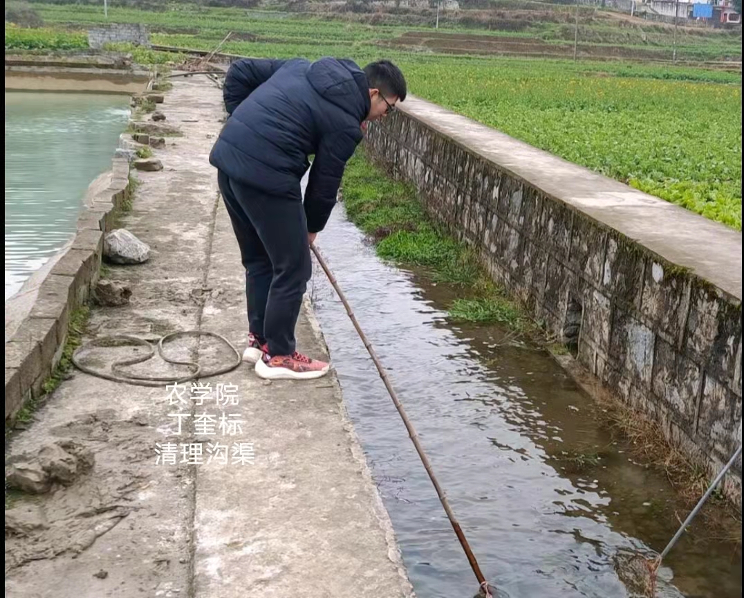 2020级农学 丁奎标 清理沟渠.jpg