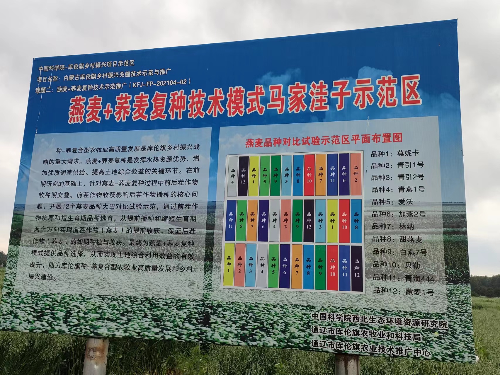 燕麦-荞麦复种示范地.jpg
